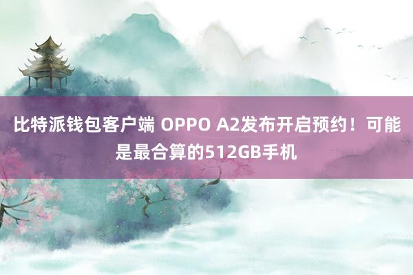 比特派钱包客户端 OPPO A2发布开启预约！可能是最合算的512GB手机